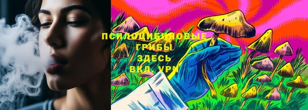 jwh Белокуриха