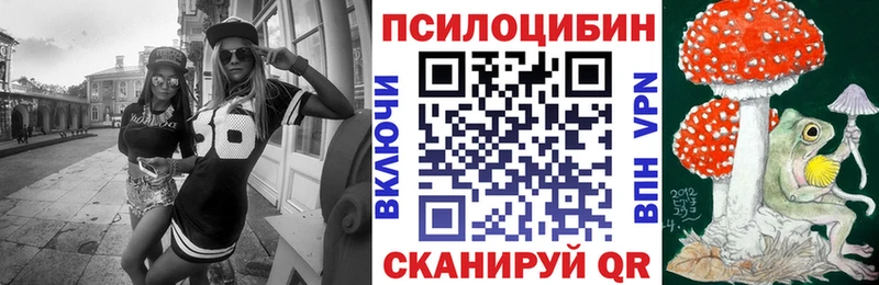 Псилоцибиновые грибы Psilocybe  Кодинск 