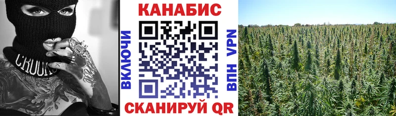 MEGA вход  Кодинск  Марихуана конопля 